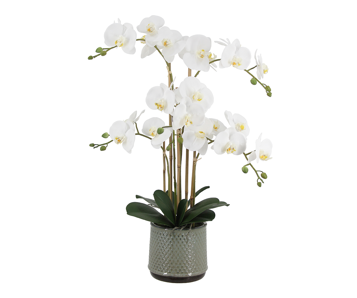 22010019 WH3001 Web
