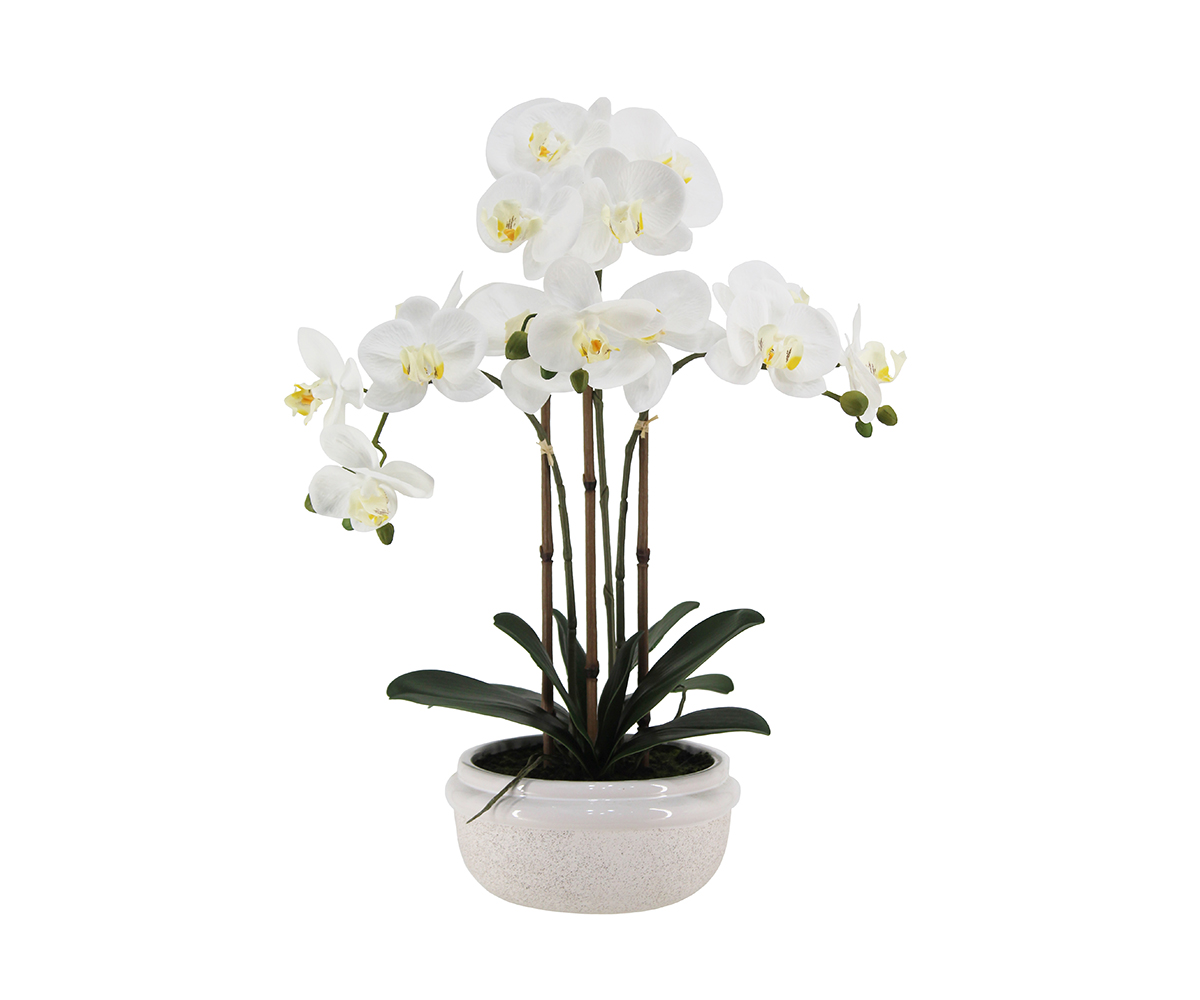 24010081 WH3001 (1) Web