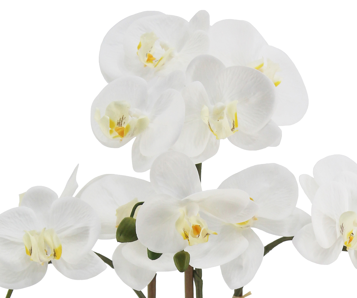24010081 WH3001 (1) Web 3