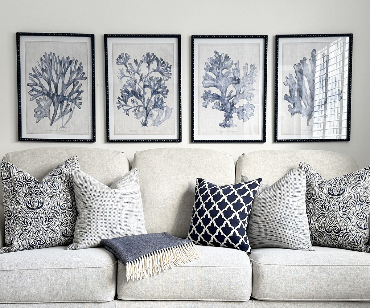 Set of 4 Framed St Barts Corals
