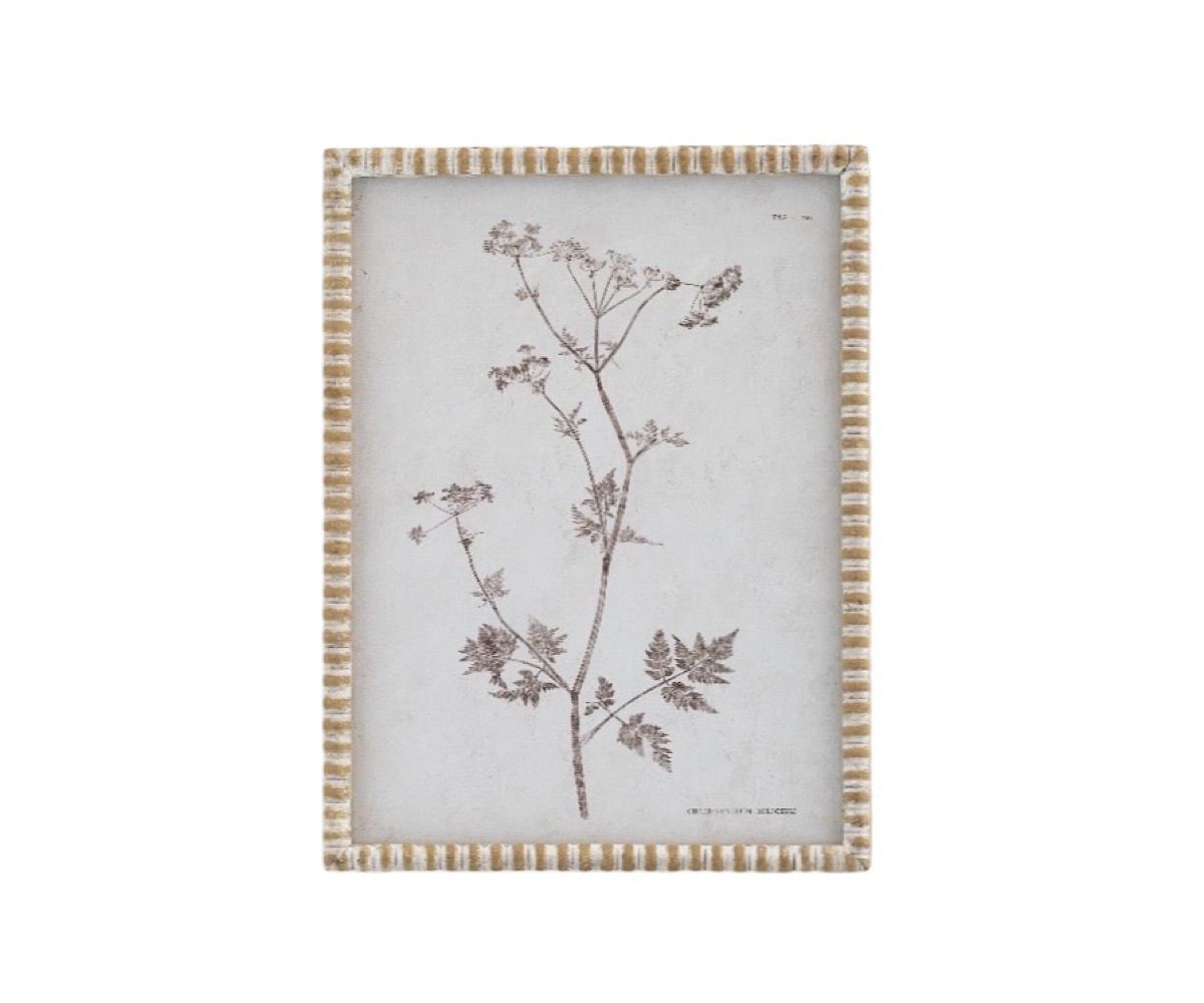 NSJF2405 - C cut out WEB