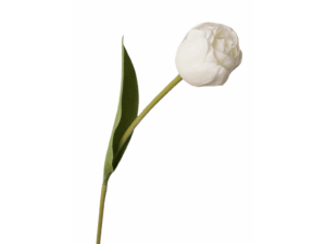 Real Touch White Tulip with Leaves, 46cm