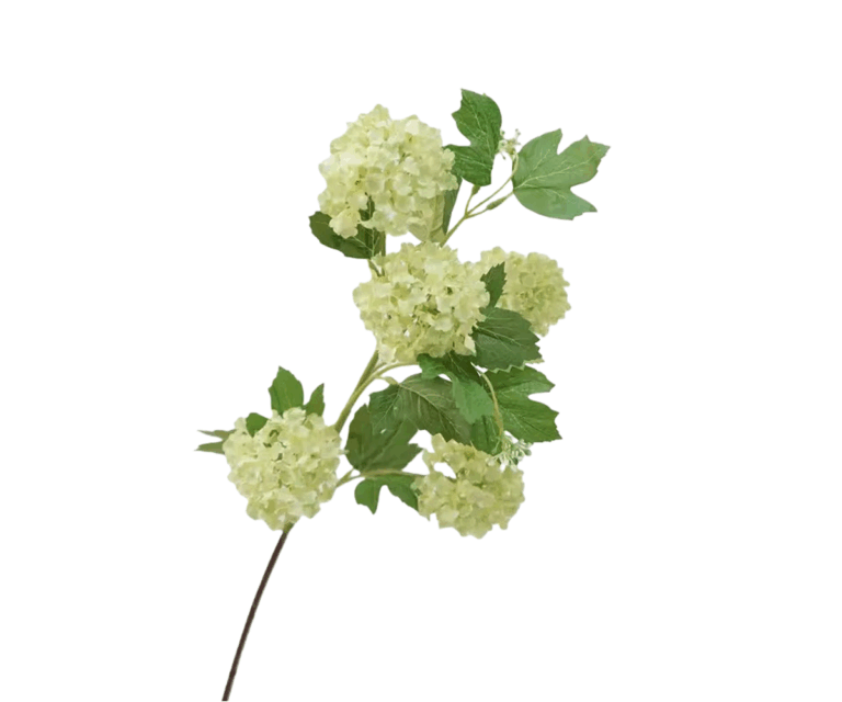 Real Touch Green Double Hydrangea Stem, 68cm